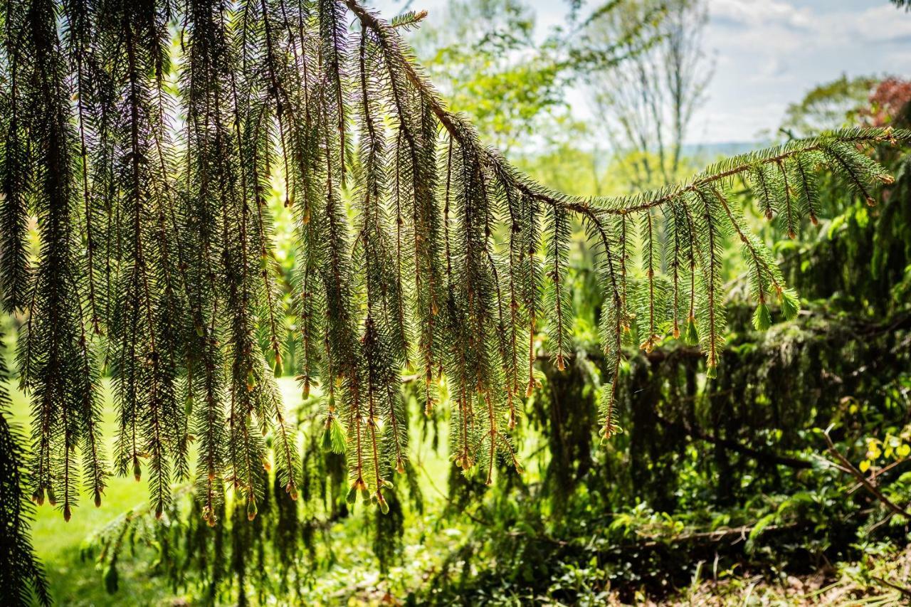 Gemuetliches, Heimeliges Ferienhaus Gars am Kamp Exteriér fotografie